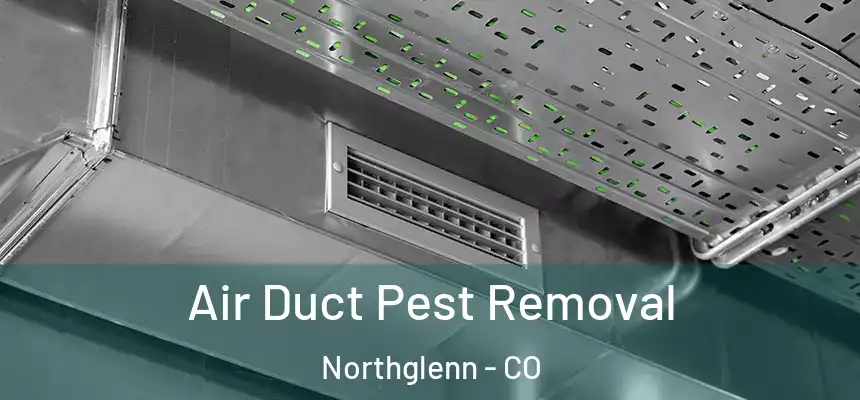 Air Duct Pest Removal Northglenn - CO