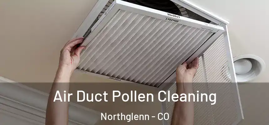 Air Duct Pollen Cleaning Northglenn - CO