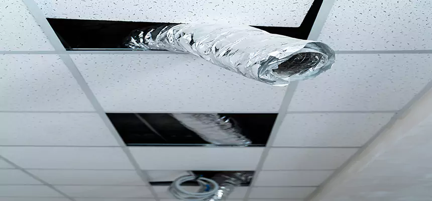 Affordable HVAC Sanitizing After Pest Removal in Northglenn