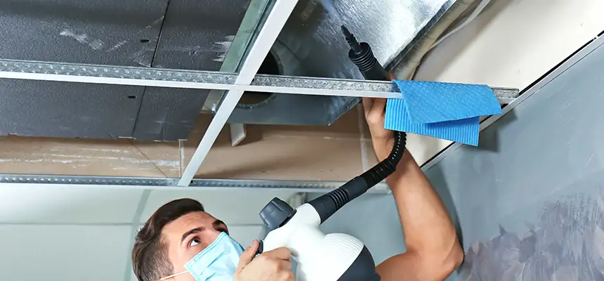 Our Air Duct Rodent Removal Services in Northglenn, CO