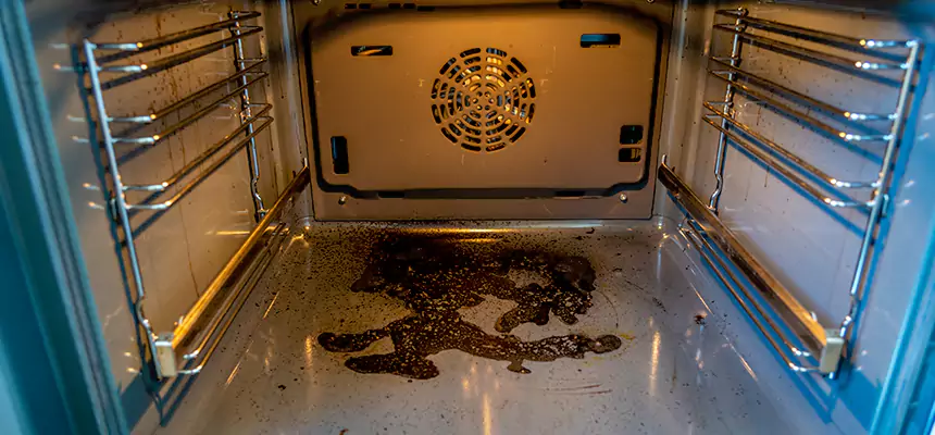 Our Dryer Vent Mold Cleaning Services in Northglenn, CO