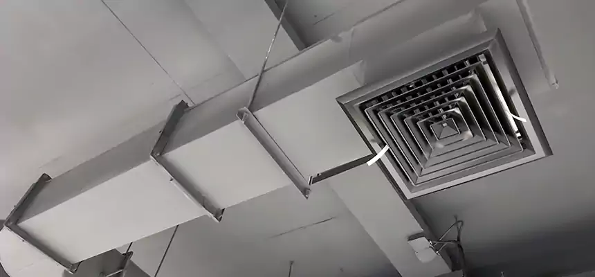 Our Pest Removal From Ducts Services in Northglenn, CO