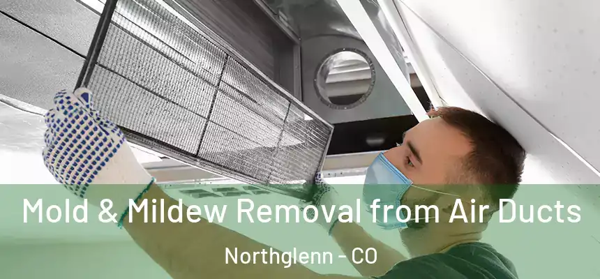 Mold & Mildew Removal from Air Ducts Northglenn - CO
