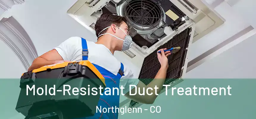 Mold-Resistant Duct Treatment Northglenn - CO