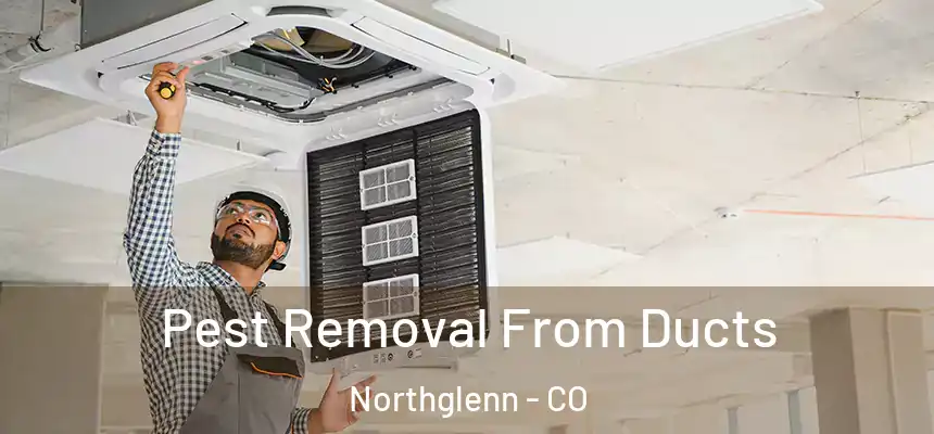 Pest Removal From Ducts Northglenn - CO