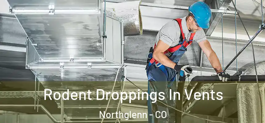 Rodent Droppings In Vents Northglenn - CO