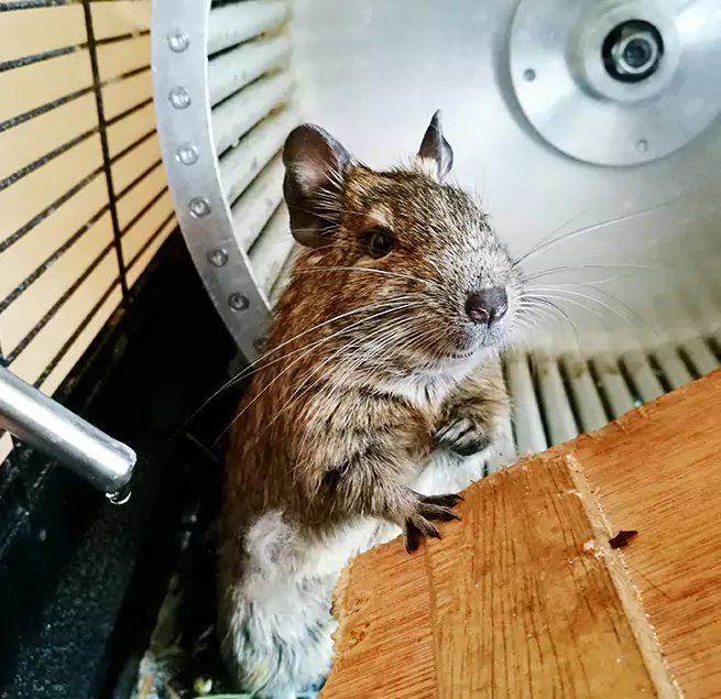 Why Homeowners & Businesses Trust Us Northglenn, CO